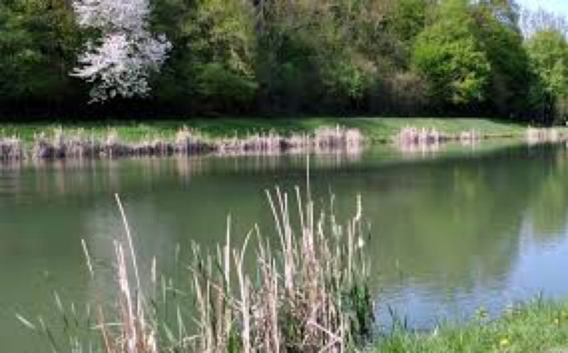 Pont du Bœuf et balade en bord de Fures - Apprieu