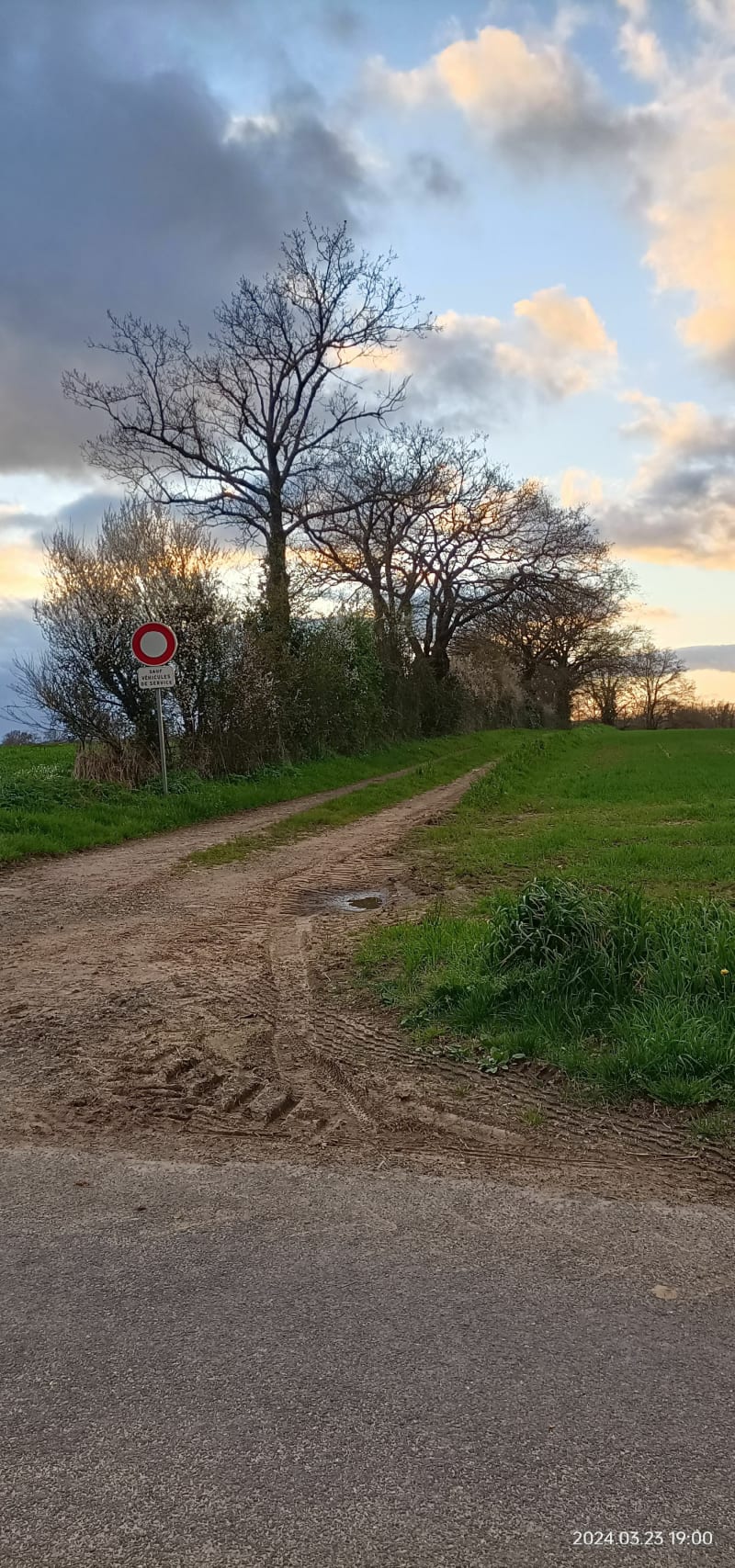 Balade avec petit parcours VTT et Route à Cholet ! - Cholet