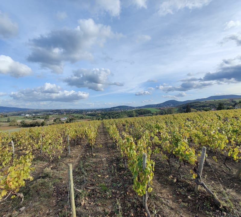 Petit tour en Lentillois - Lentilly