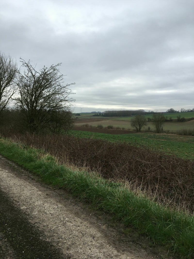 Balade entre Grevillers et Irles par le bois - Grévillers