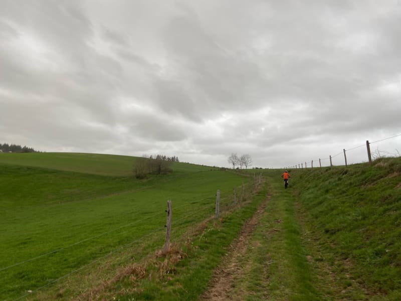 Les Sauvages à Tarare - Tarare