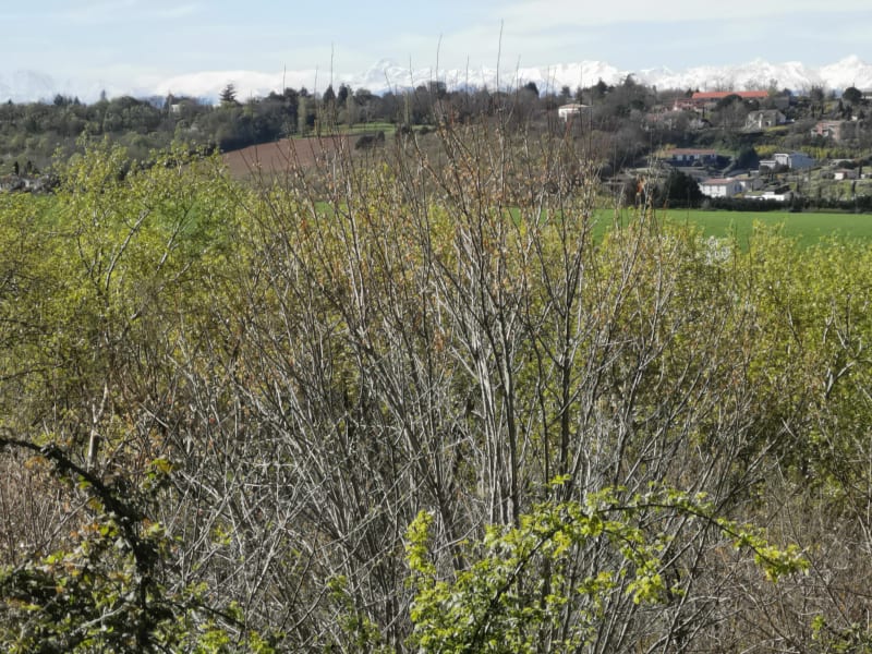 La campagne aux portes de Toulouse par Moncalm - Ramonville-Saint-Agne
