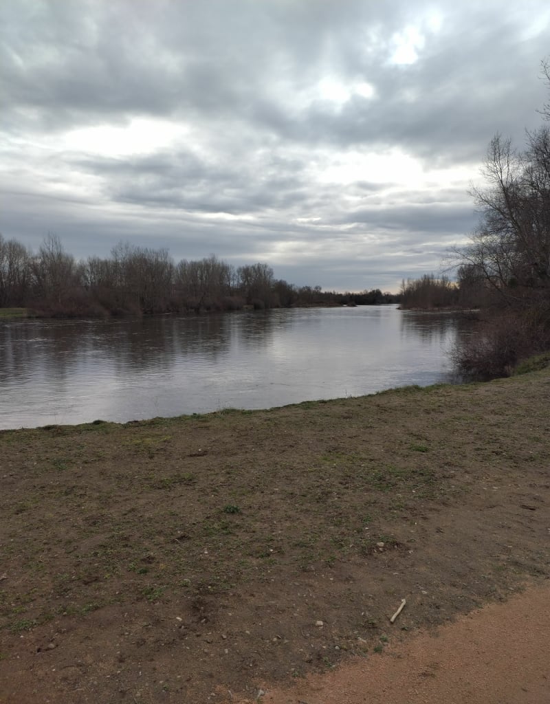 Promenade citadine à Moulins, en suivant les berges de l'Allier et en passant par ses ponts - Moulins