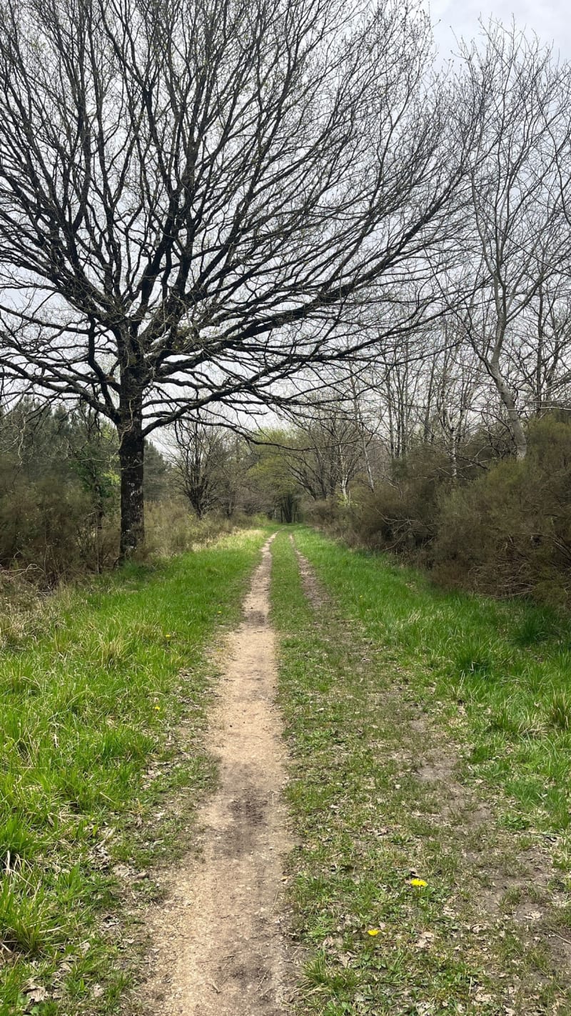 Forêt de Larçay et Château du Bois des Hâtes - Chambray-lès-Tours