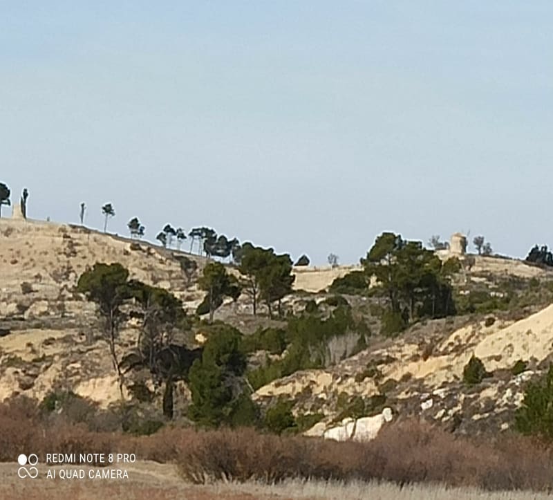 Garrigues et marais de Lespignan - Lespignan