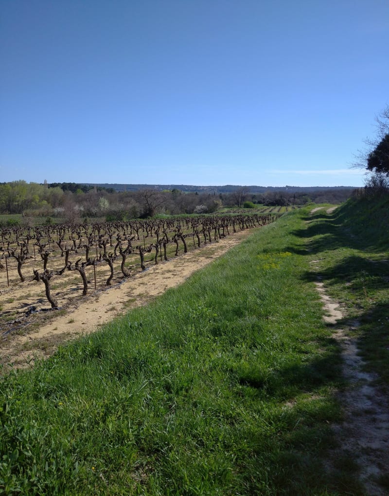 Un petit tour dans la nature de Vallabrix - Vallabrix