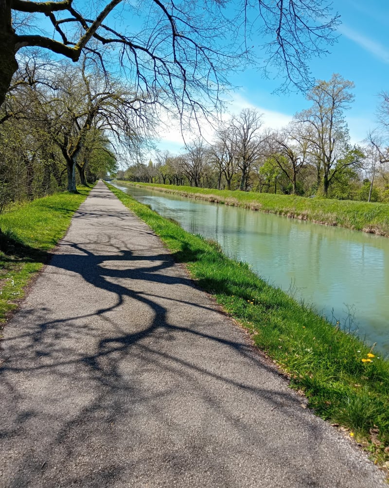 Le long du canal de Montech - Montauban