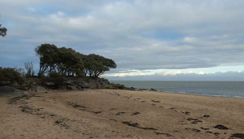 Plages des Dames et des Sableaux - Noirmoutier-en-l'Île