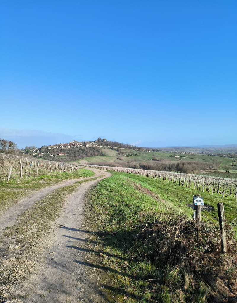 Balade à travers le vignoble de Sancerre - Sancerre