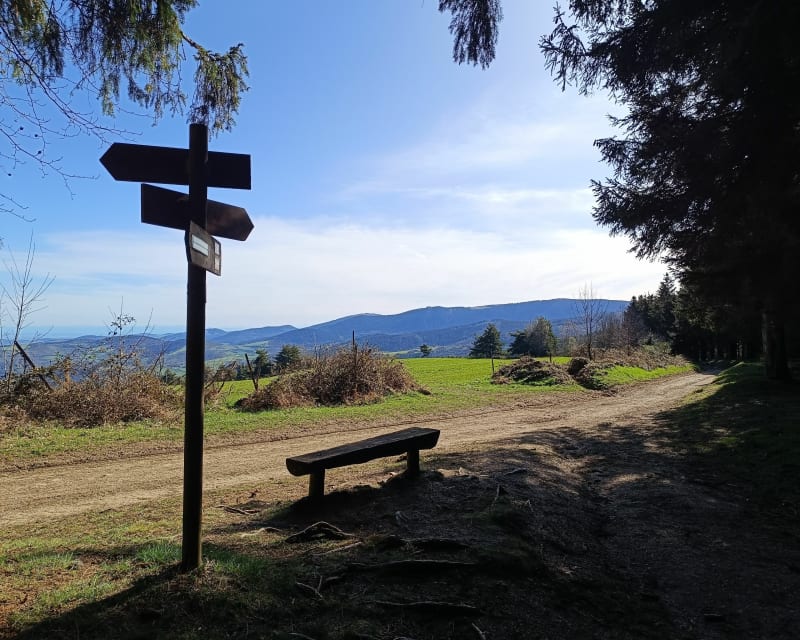 Boucle jusqu'au plateau de la Barbanche - Saint-Étienne