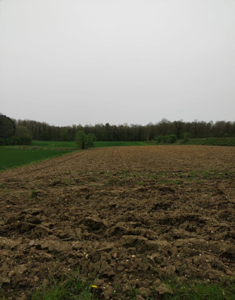 De l'étang au Terril 39 - Barlin