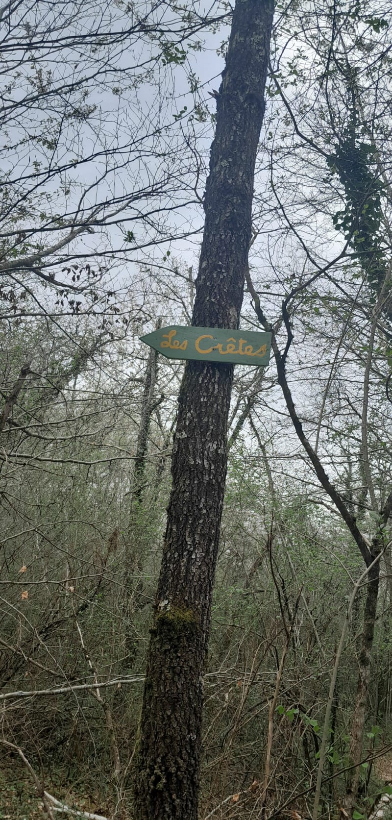 Chemin des crêtes, par Coumatoué - Laffite-Toupière