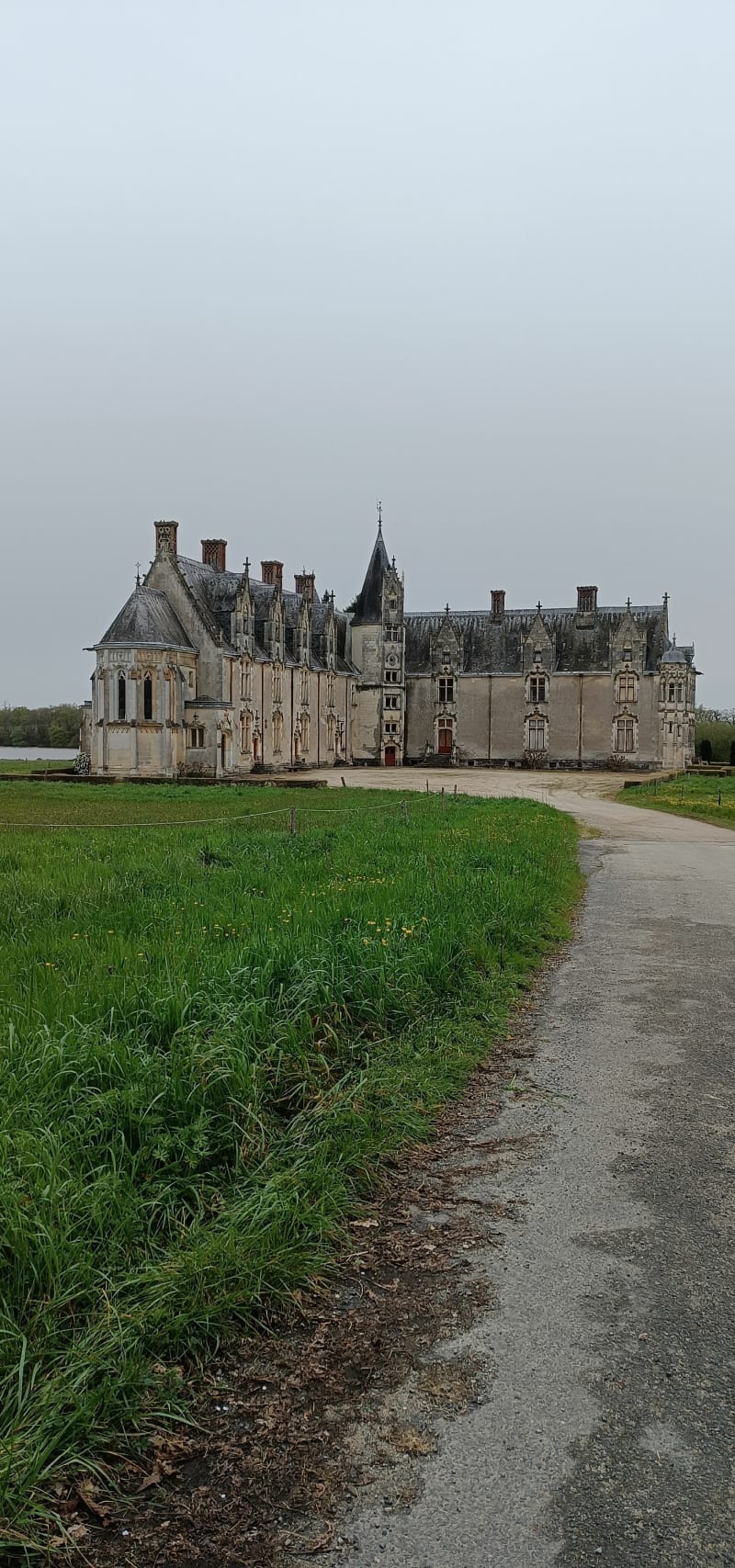 Balade bucolique sur les bord de l'Erdre - La Chapelle-sur-Erdre
