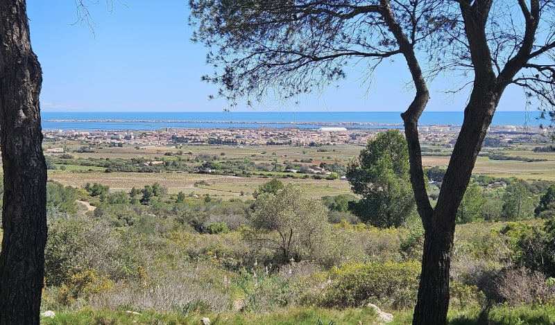 Le chemin des lucioles - Frontignan
