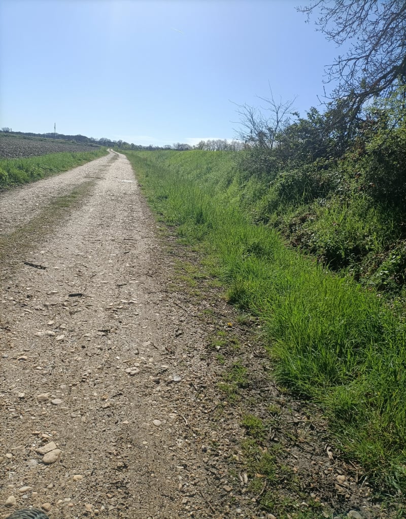 Petite balade tranquille à Cepet - Cepet