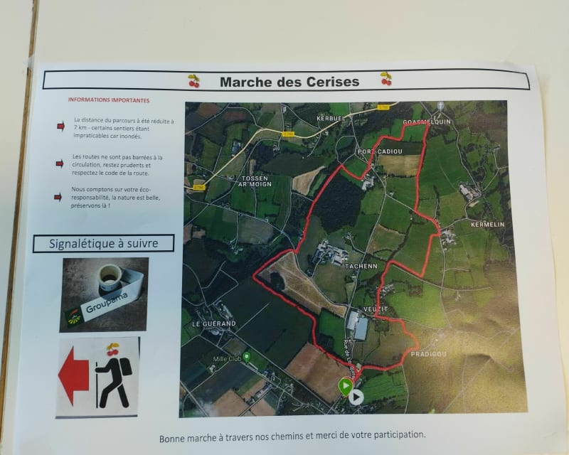 Marche des cerises Plouegart - Plouégat-Guérand