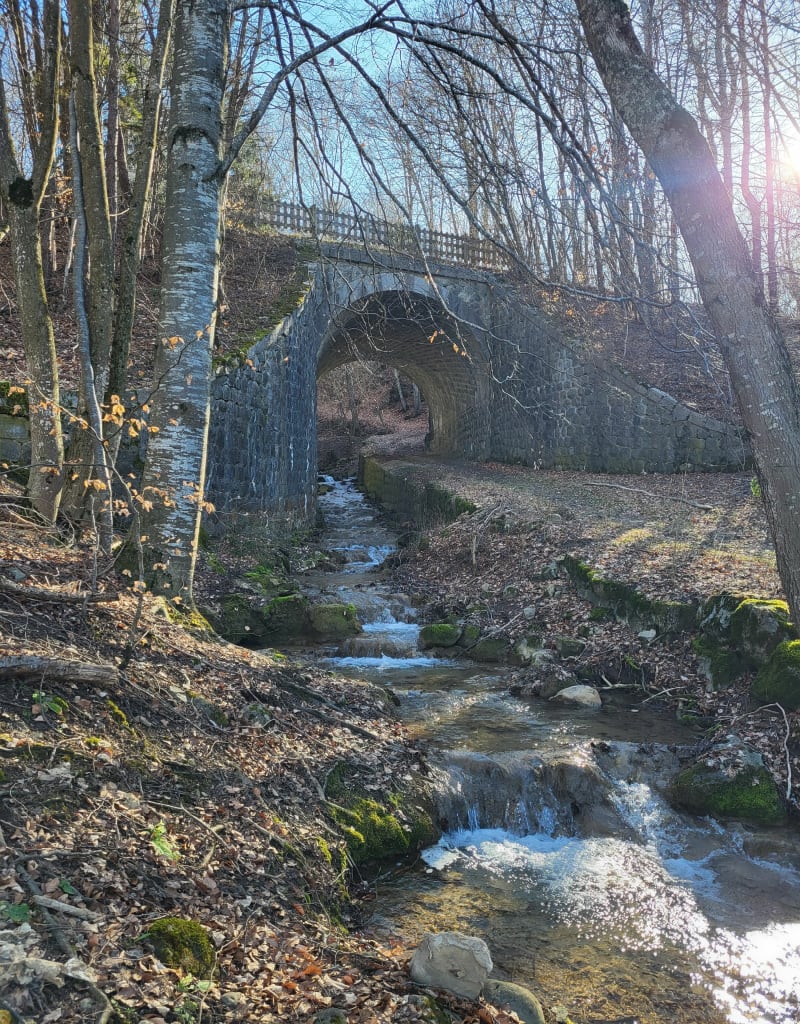 Forest-Saint-Julien, par Serre Richard - Forest-Saint-Julien