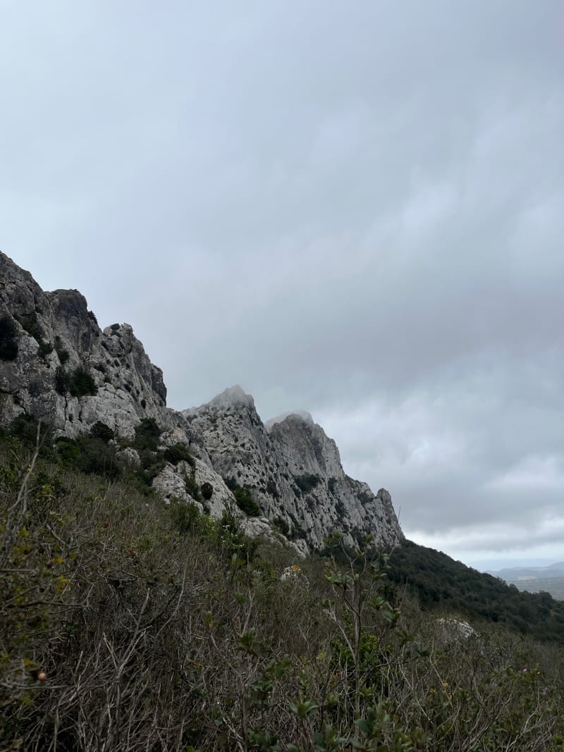 Falaises de Vingraud - Vingrau