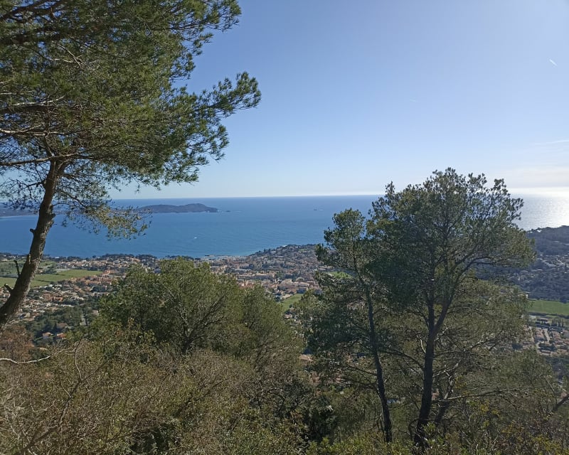 Le Paradis et sa grotte - Carqueiranne