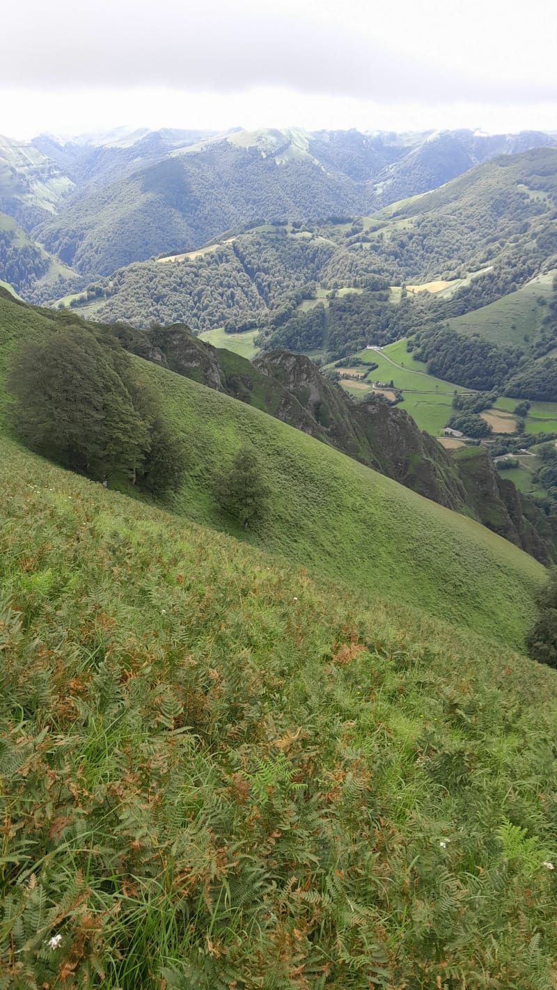 Le long du Jarlot - Plougonven