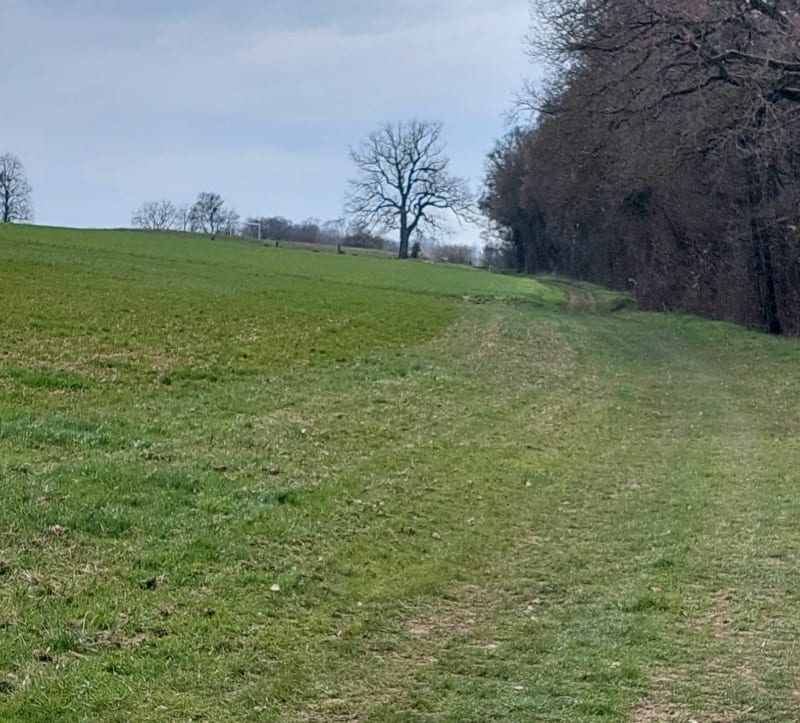 Randonnée par le Camp de Chalons à Delle - Delle