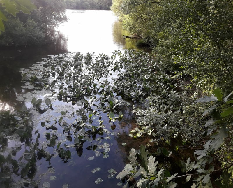 Autour des marais de la Sensée - Écourt-Saint-Quentin