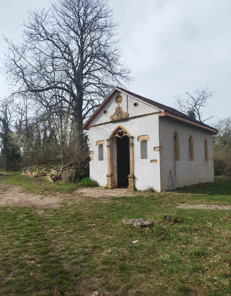 Balade sur les hauteurs et environs de Westhalten - Westhalten