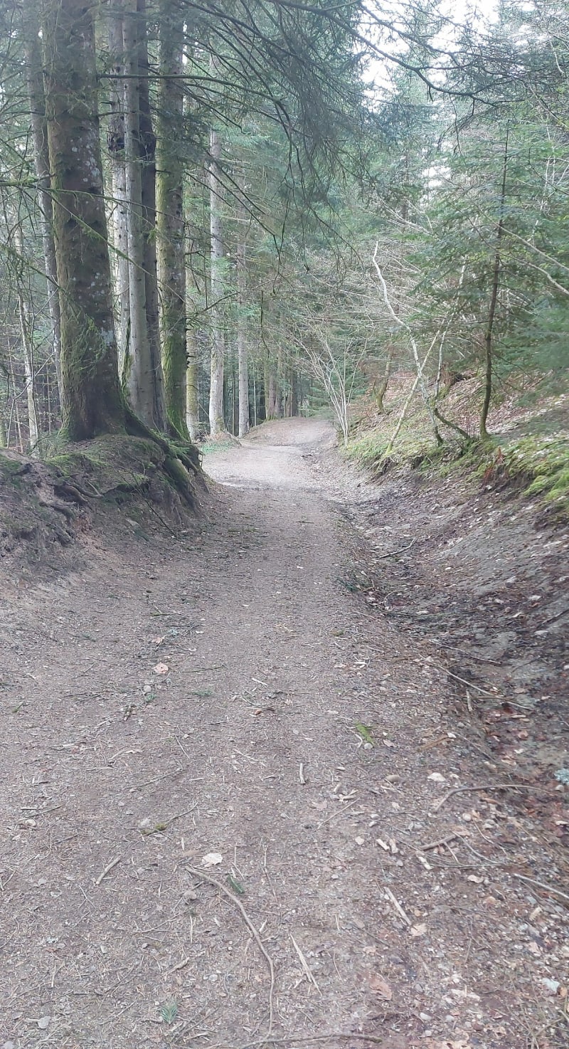 Boucle Sur Vuan-Saint André de Boëge - Saint-André-de-Boëge