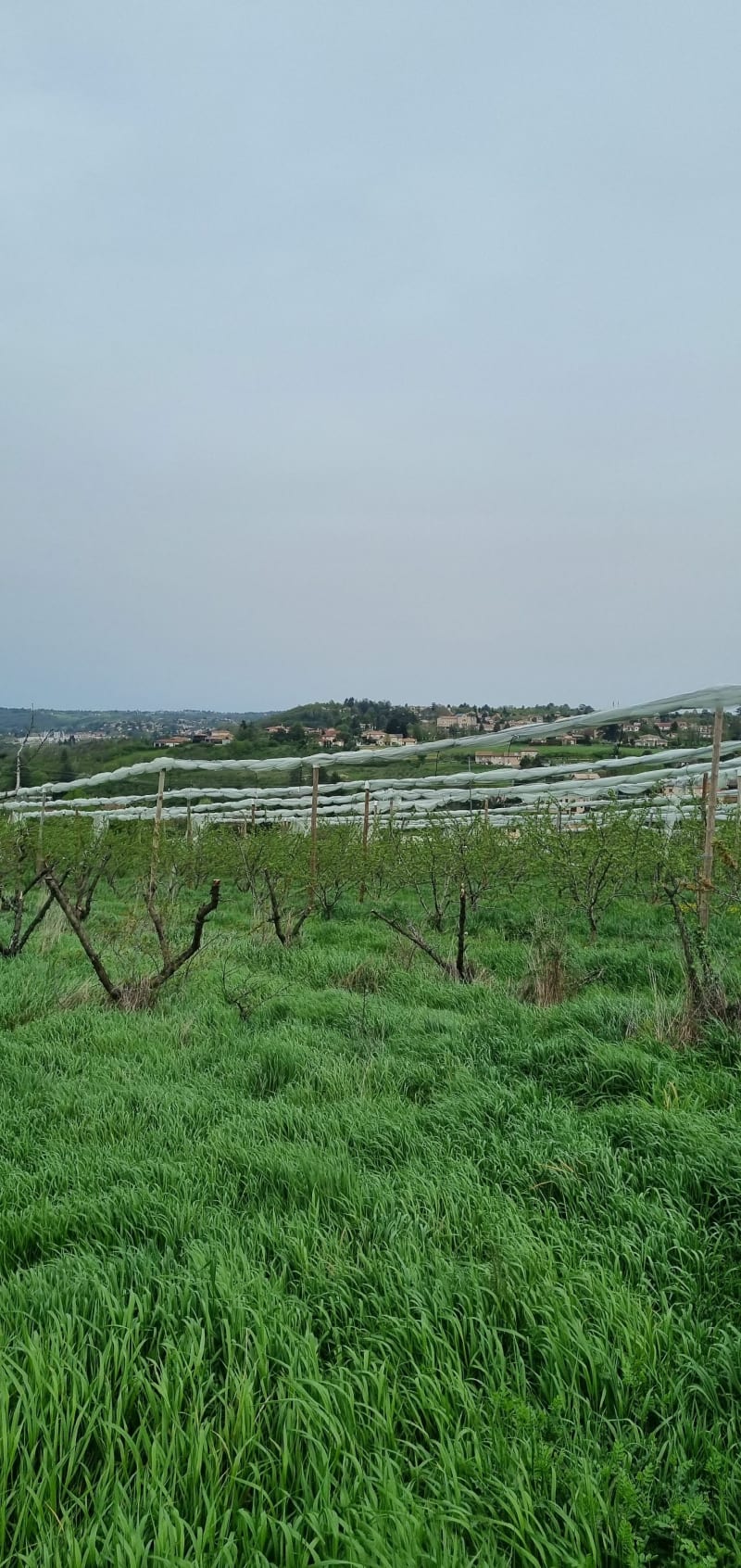 Boucle à Saint Genis Laval - Oullins-Pierre-Bénite