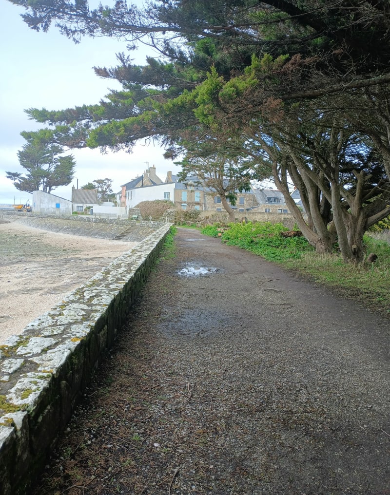 Pointe de Penerf - Damgan