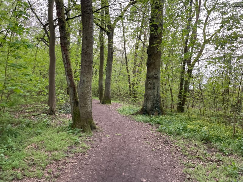 Du Bois de Vaires aux bords de Marne - Vaires-sur-Marne