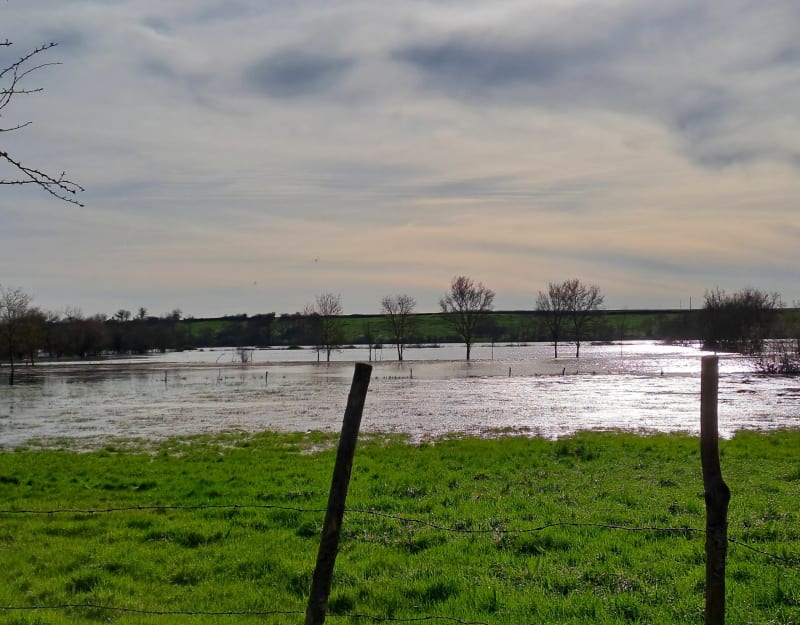 Entre plaine et marais autour de Luçon - Luçon
