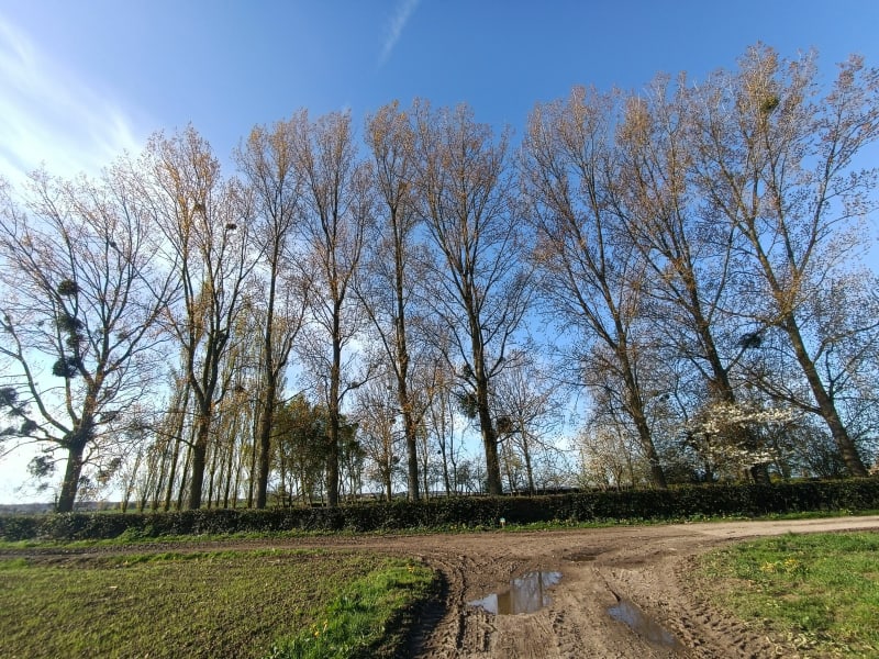 Au coeur de la forêt d Eu - Saint-Pierre-en-Val