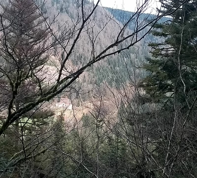 Balade au Saut de la Vache - Le Val-d'Ajol