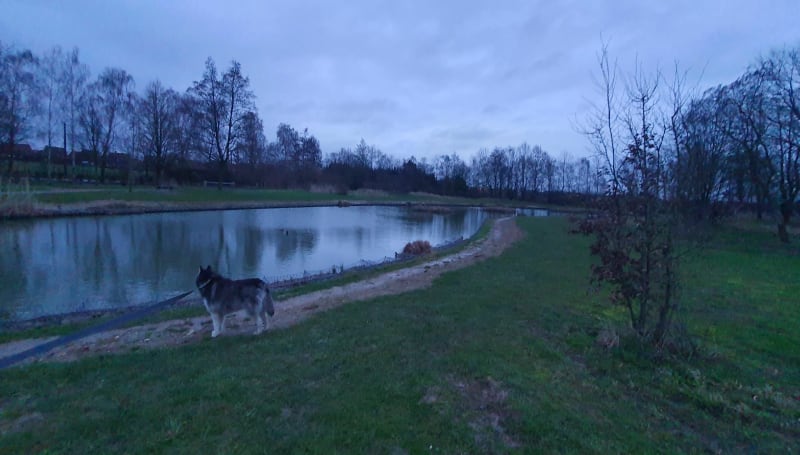 Les Périseaux Faches Wattignies Vendeville - Faches-Thumesnil