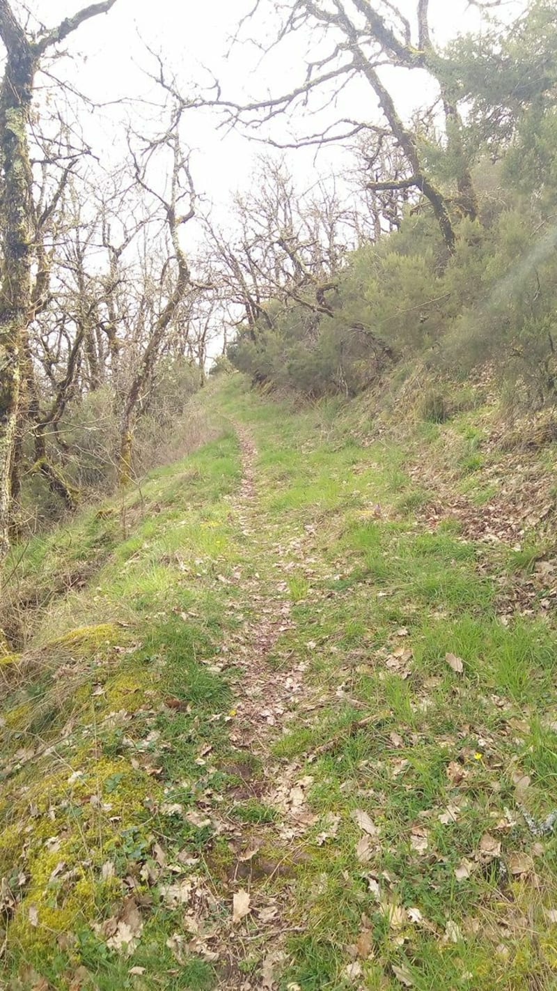 Boucle entre Rebourguil et Le Py - Rebourguil