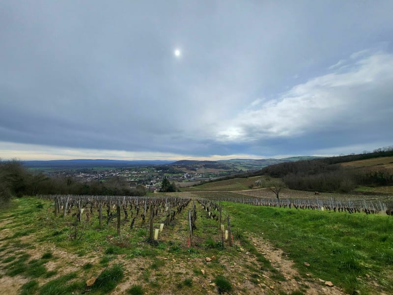 Boucle Madone de Givry Mont-Avril - Givry