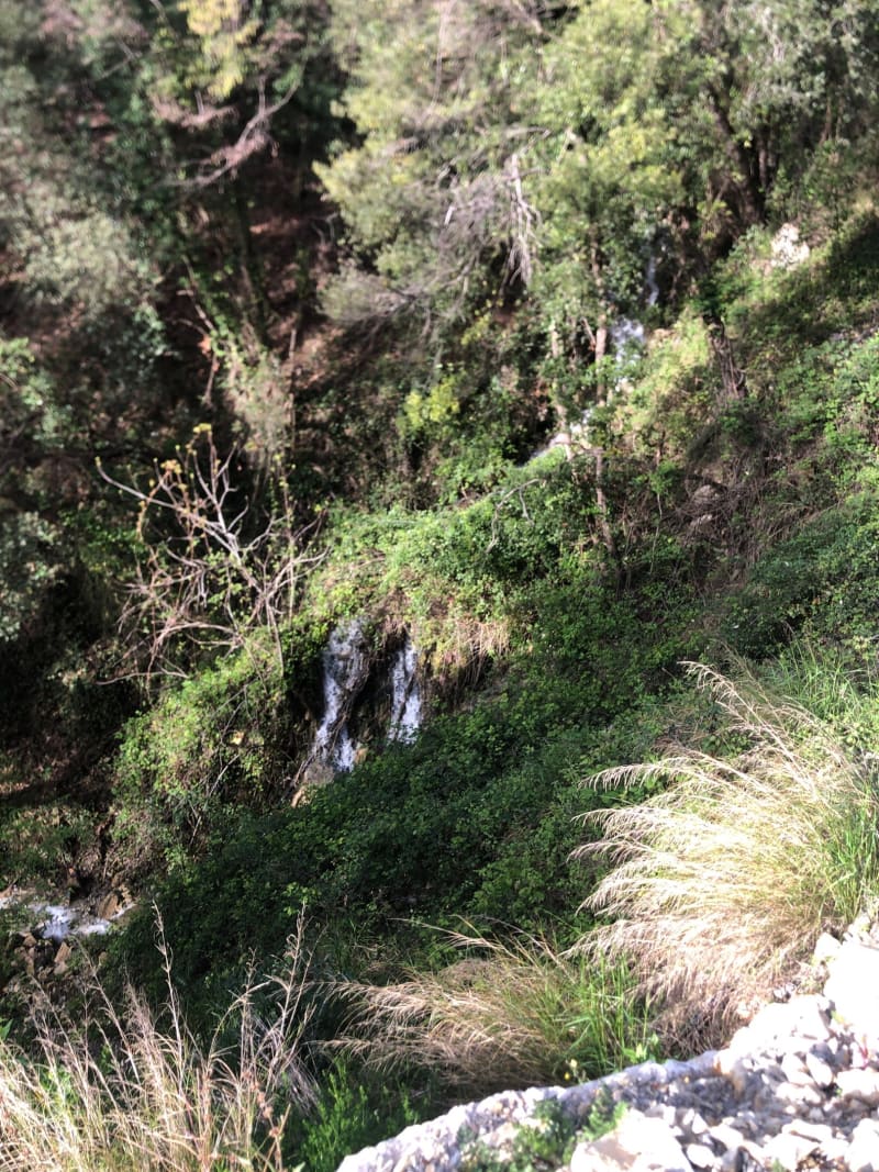 Forêt de Menton - Menton