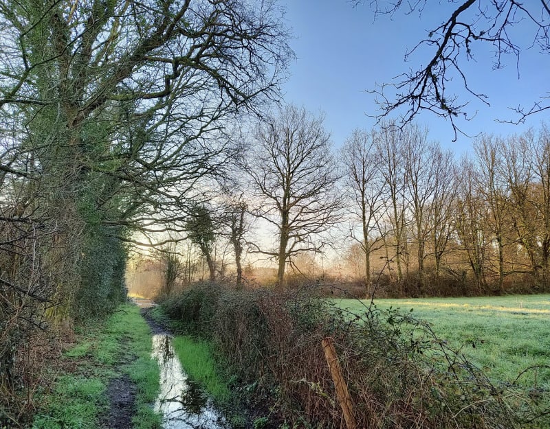 Balade du Moulin-Guérin par la Garatière - Landeronde