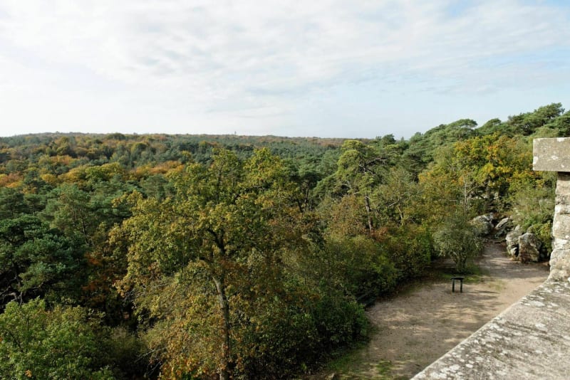 De Bois-le-Roi à Fontainebleau - Bois-le-Roi