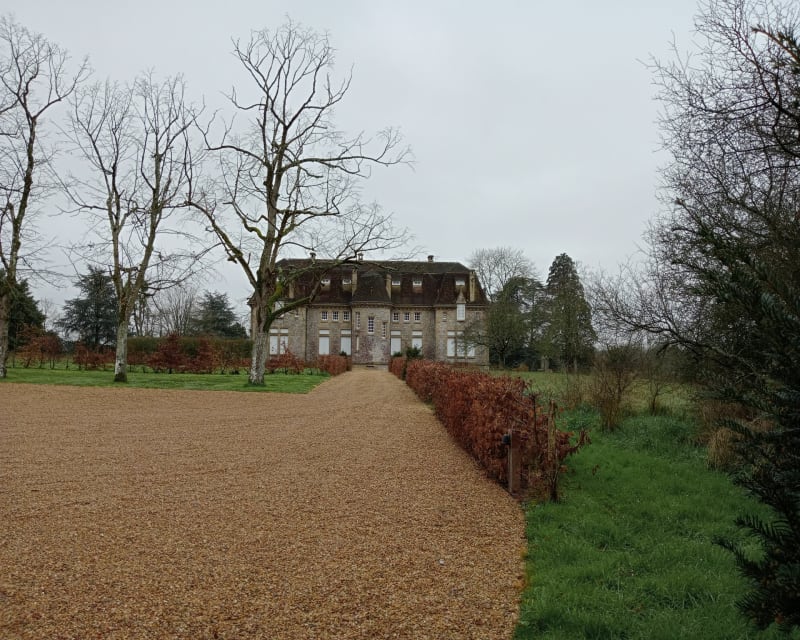 Balade dans la forêt de Bellebranche. - Saint-Brice