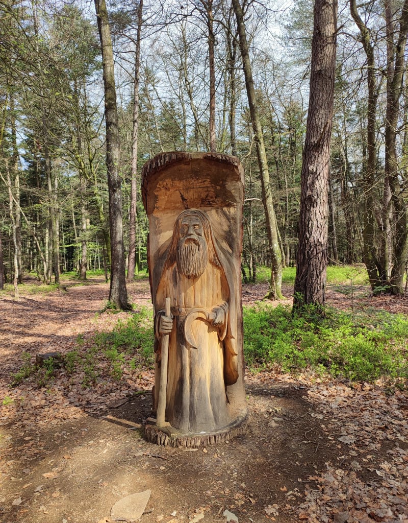 Forêt de Bellême - Bellême