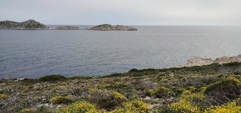Montredon Callelongue La Mounine - Marseille