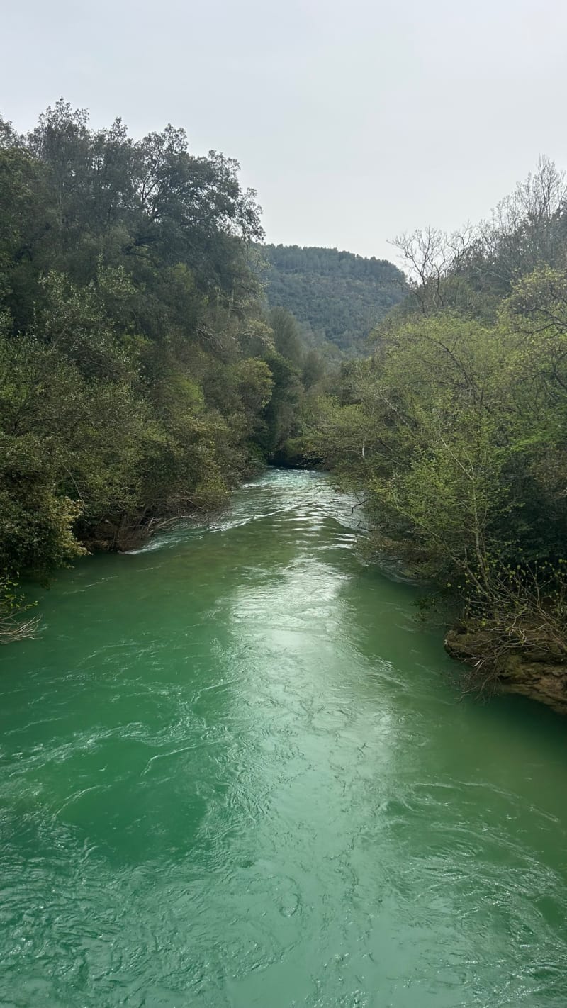 Pont des Tuves au départ des Veyans - Saint-Cézaire-sur-Siagne