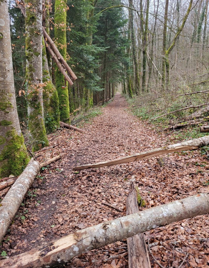 Source de la Doue par la Queuedrotte - Abbévillers