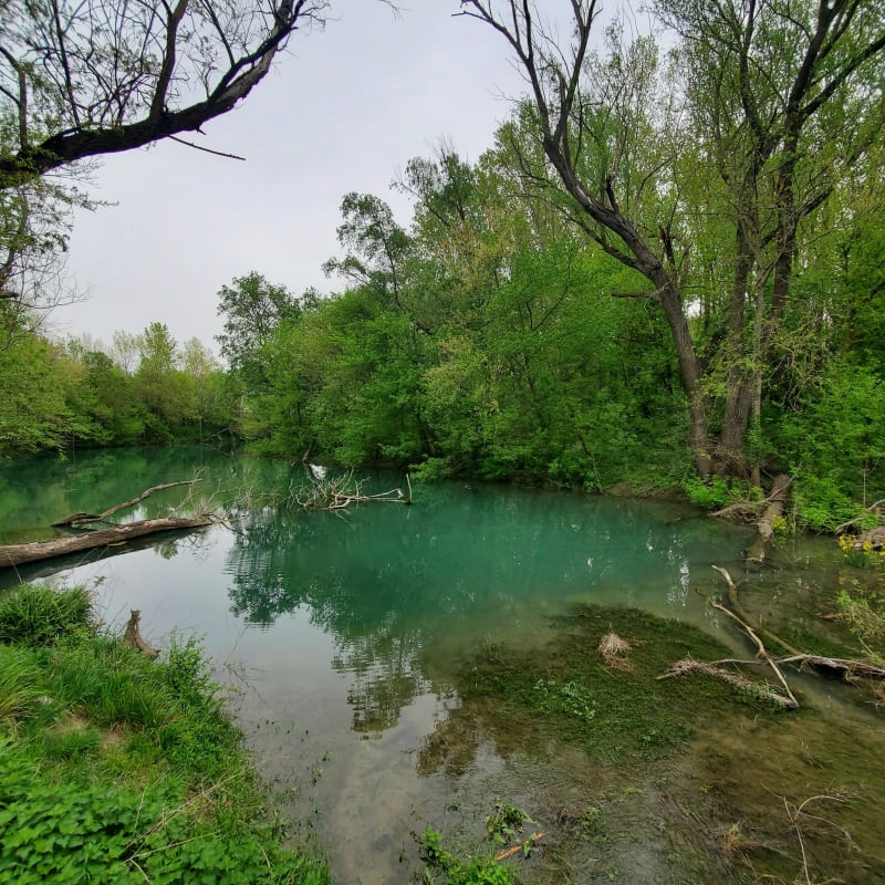 Balade autour du Rhône à Sablons - Sablons