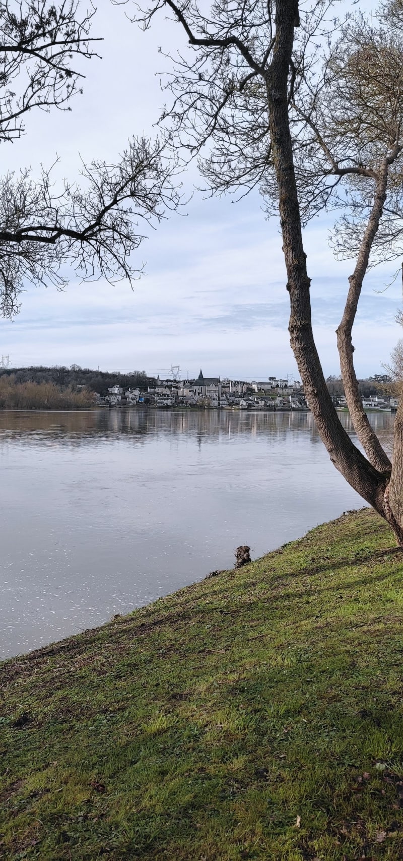 Boucle des vignes à Chouzé-sur-Loire - Chouzé-sur-Loire