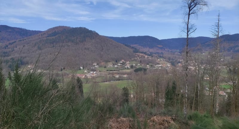 Vue sur la vallée de la Moselle - Ramonchamp