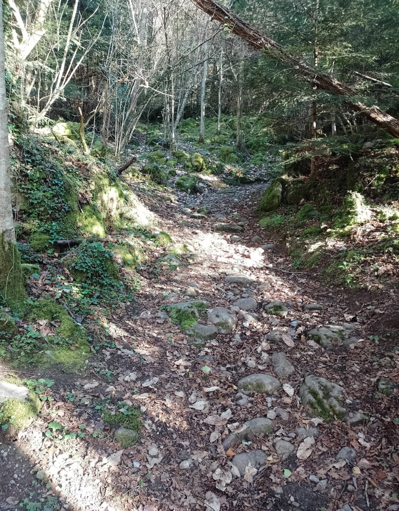 Tour du Roc de la Mousse, à Montségur avec vu sur le château - Montségur