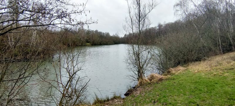 Promenade en forêt de Malnoue - Émerainville
